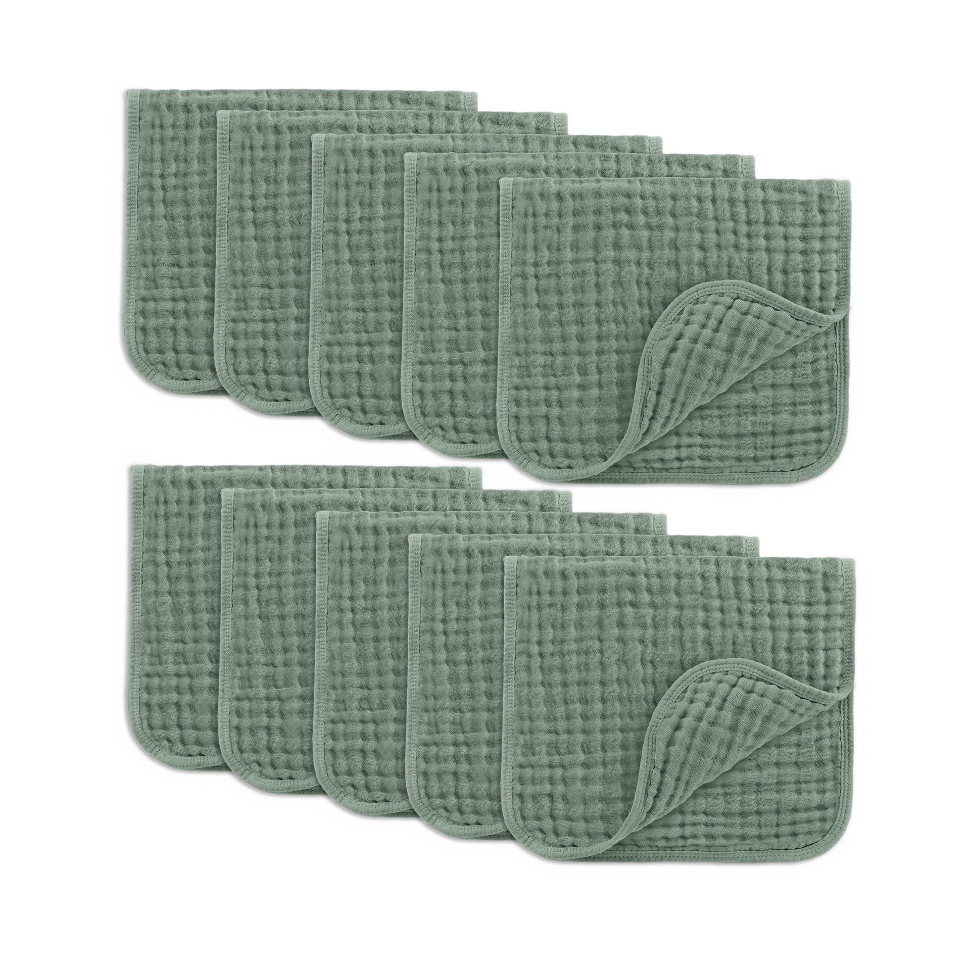 Thumbnail of Fern