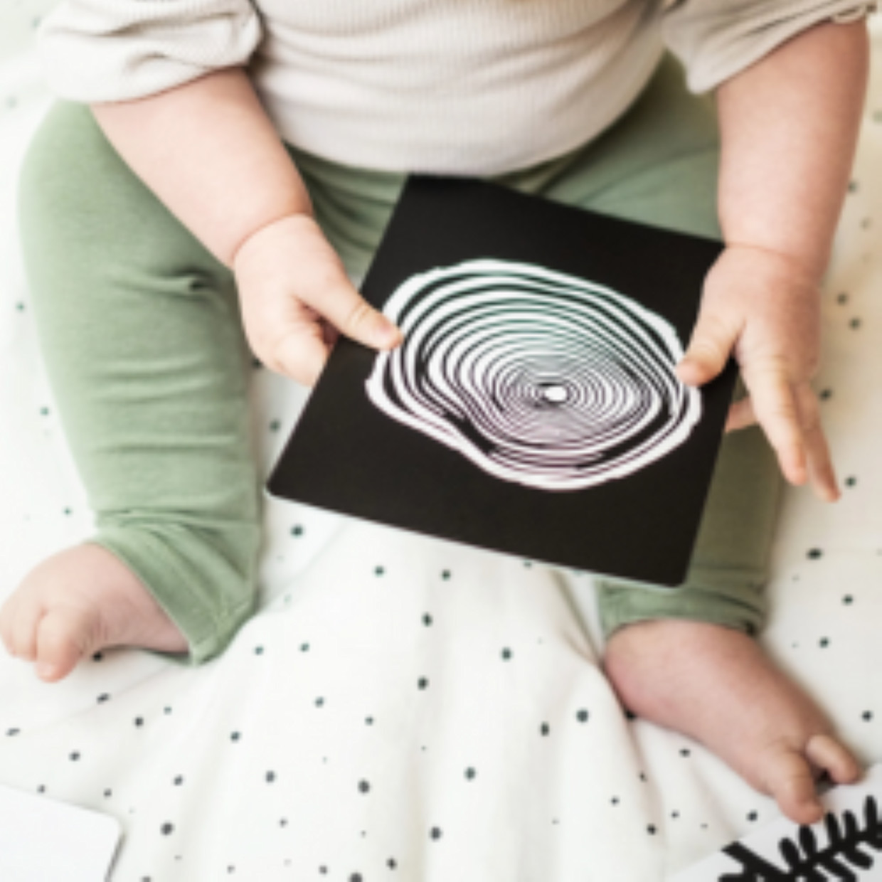 Etta Loves Flash Cards.