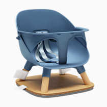 Thumbnail of Blueberry