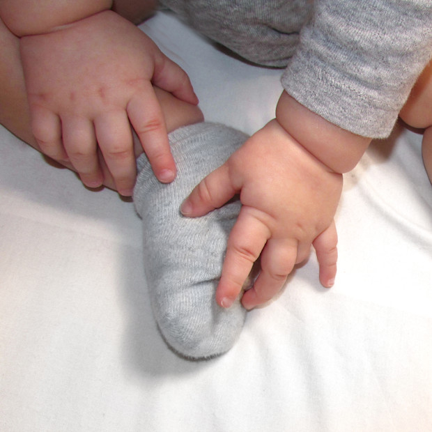 Honest Baby Clothing 5-Pack Socks.