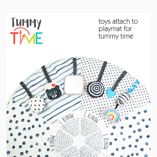 Sassy Milestone Activity Gym.