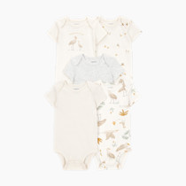 Thumbnail of Striped Birds