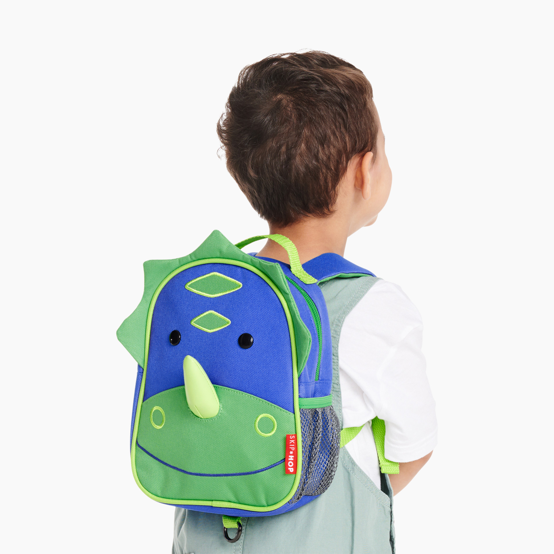 Dinosaur Zoo Little Kid Backpack