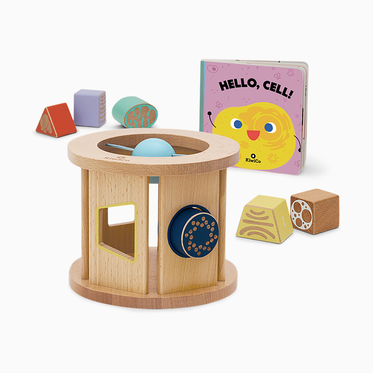 KiwiCo Biology Blocks Shape Sorter.