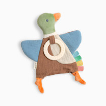 Thumbnail of Mallard