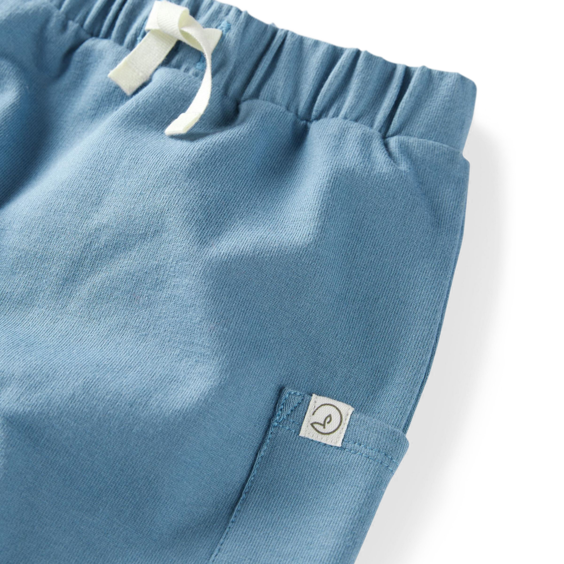 Carter's Little Planet 2-Pack Organic Cotton French Terry Joggers - Multi, 0-3 M.