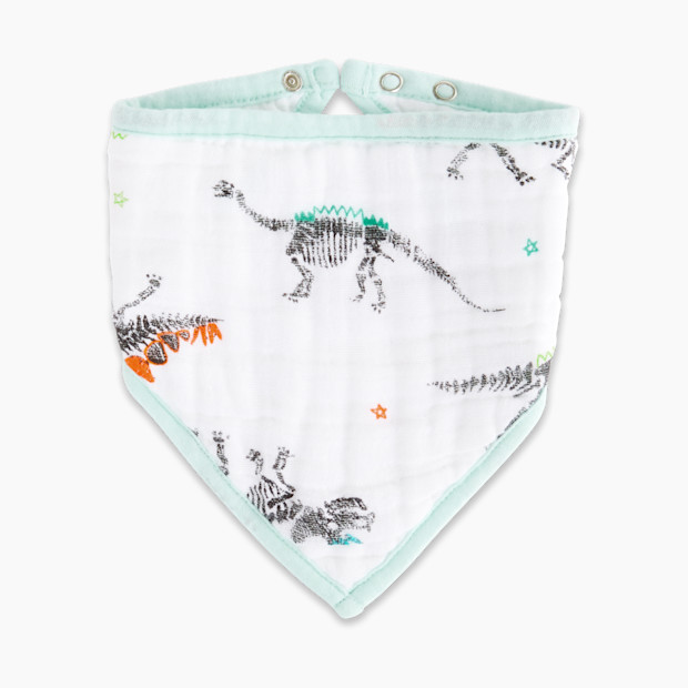 Aden + Anais Bandana Bib - Color Pop.