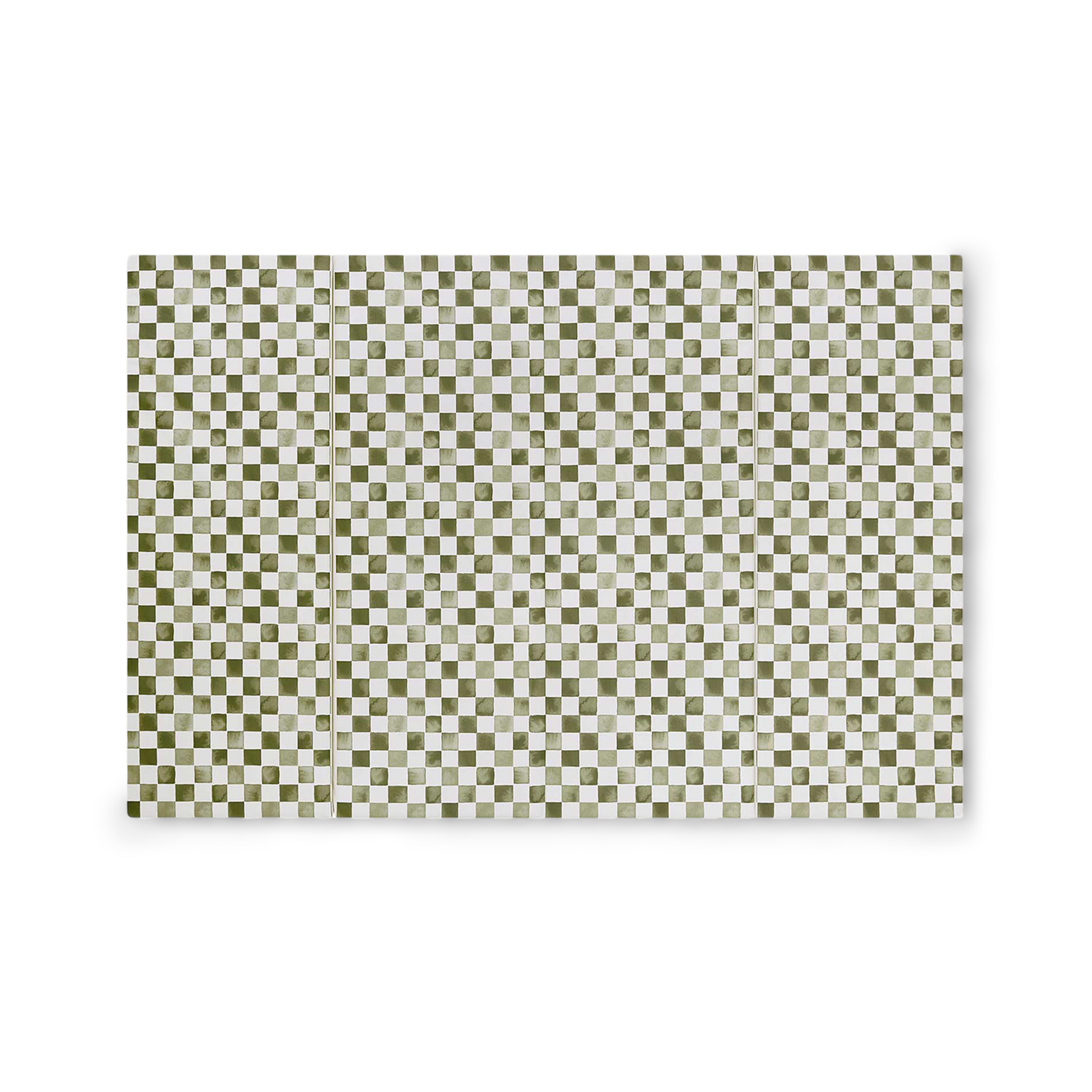 Thumbnail of Checker Fern