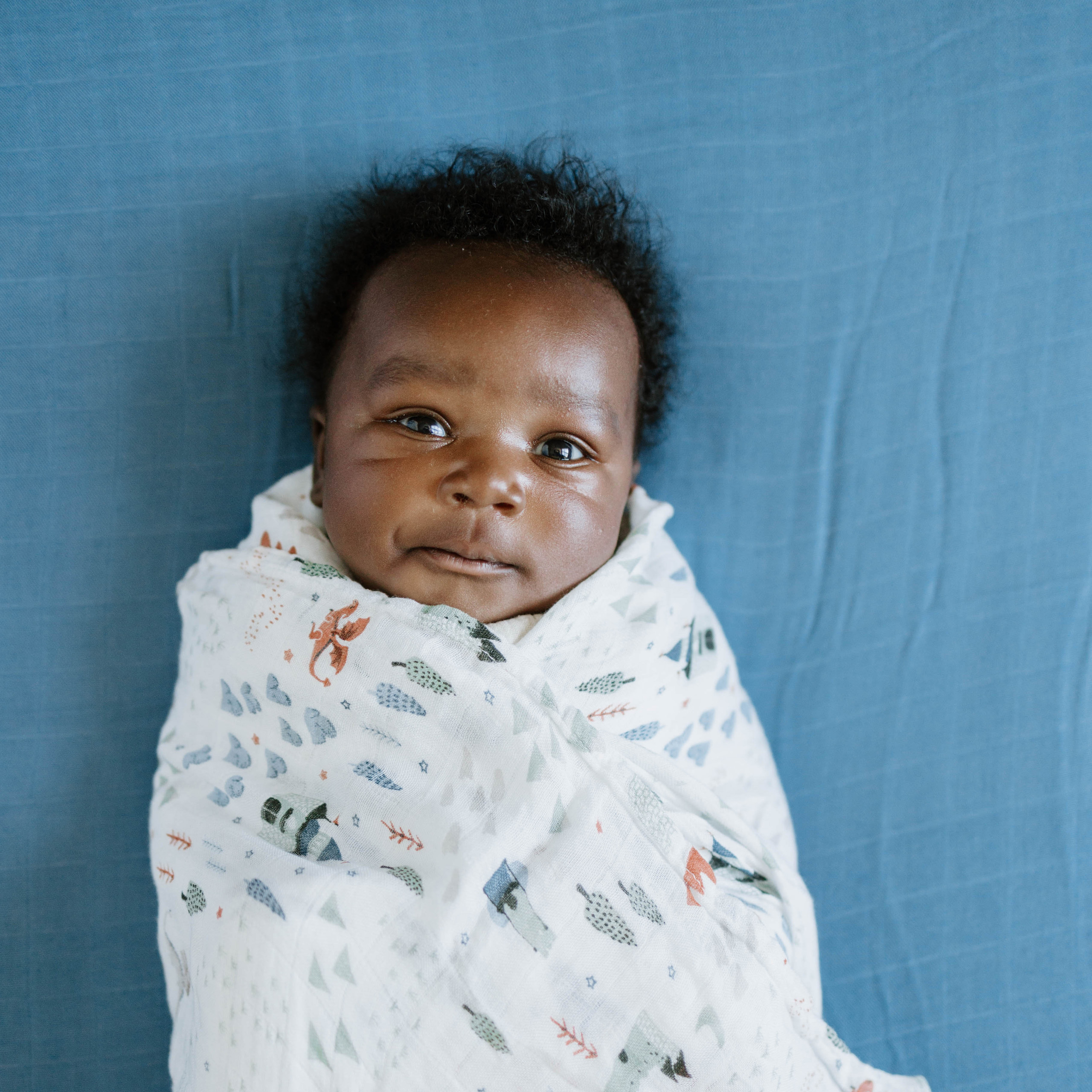 Little Unicorn Deluxe Muslin Swaddle 2 Pack Dragon Days, 2 Babylist