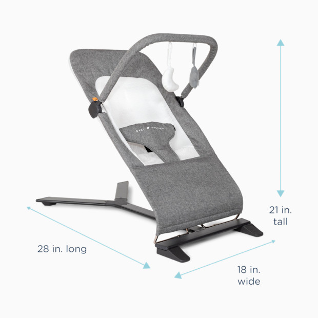 Baby Delight Alpine Deluxe Portable Bouncer.