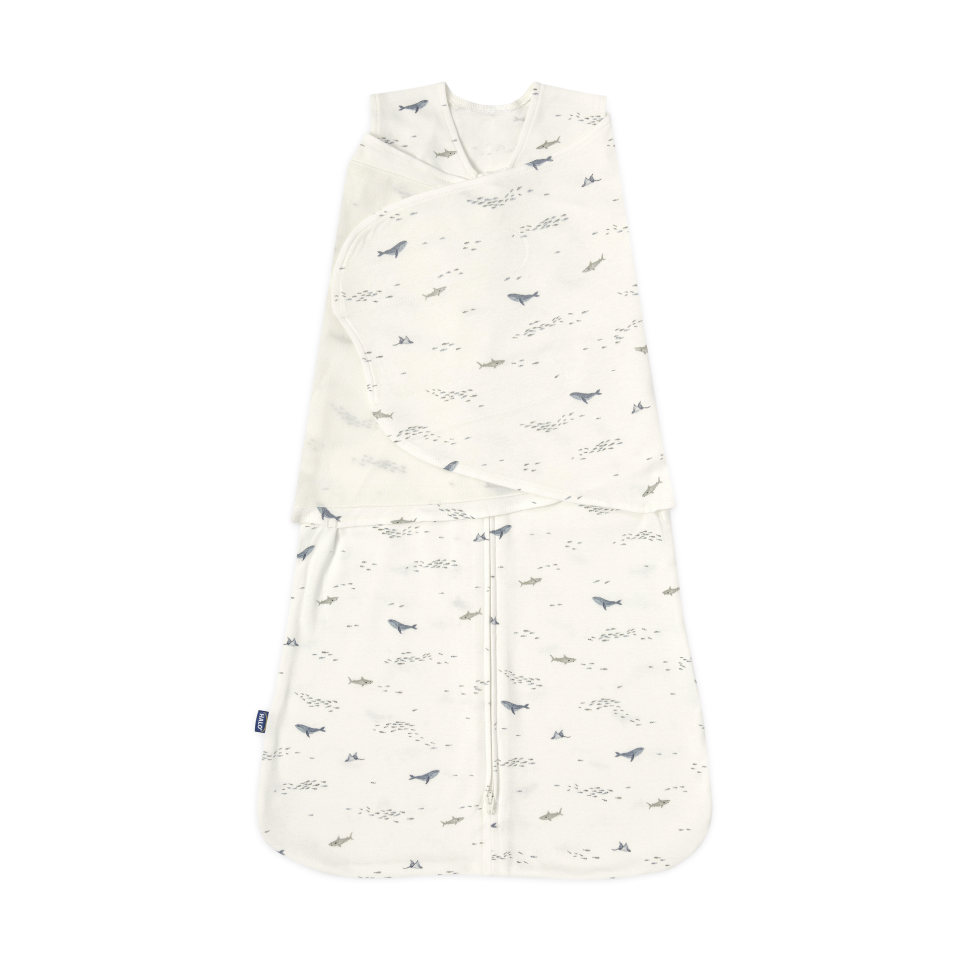 Thumbnail of Ocean Life