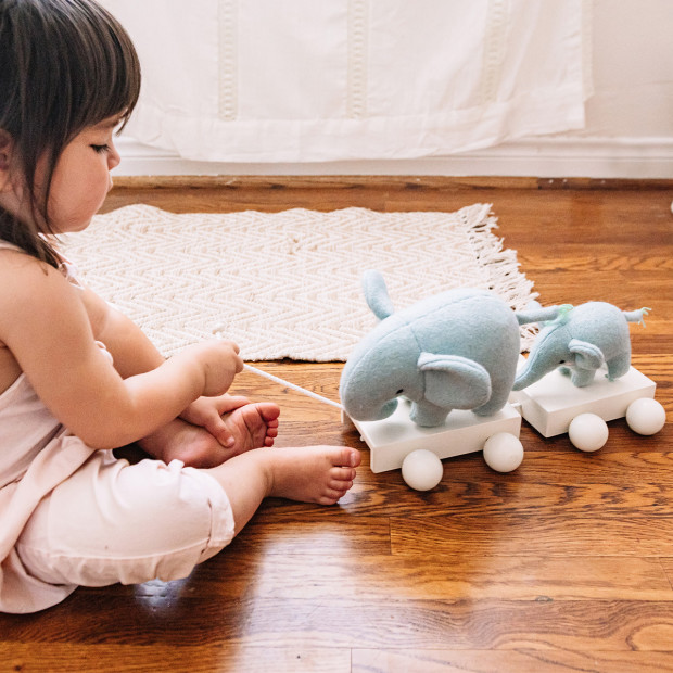 Wonder & Wise Baby Pull Toy - Elephant.