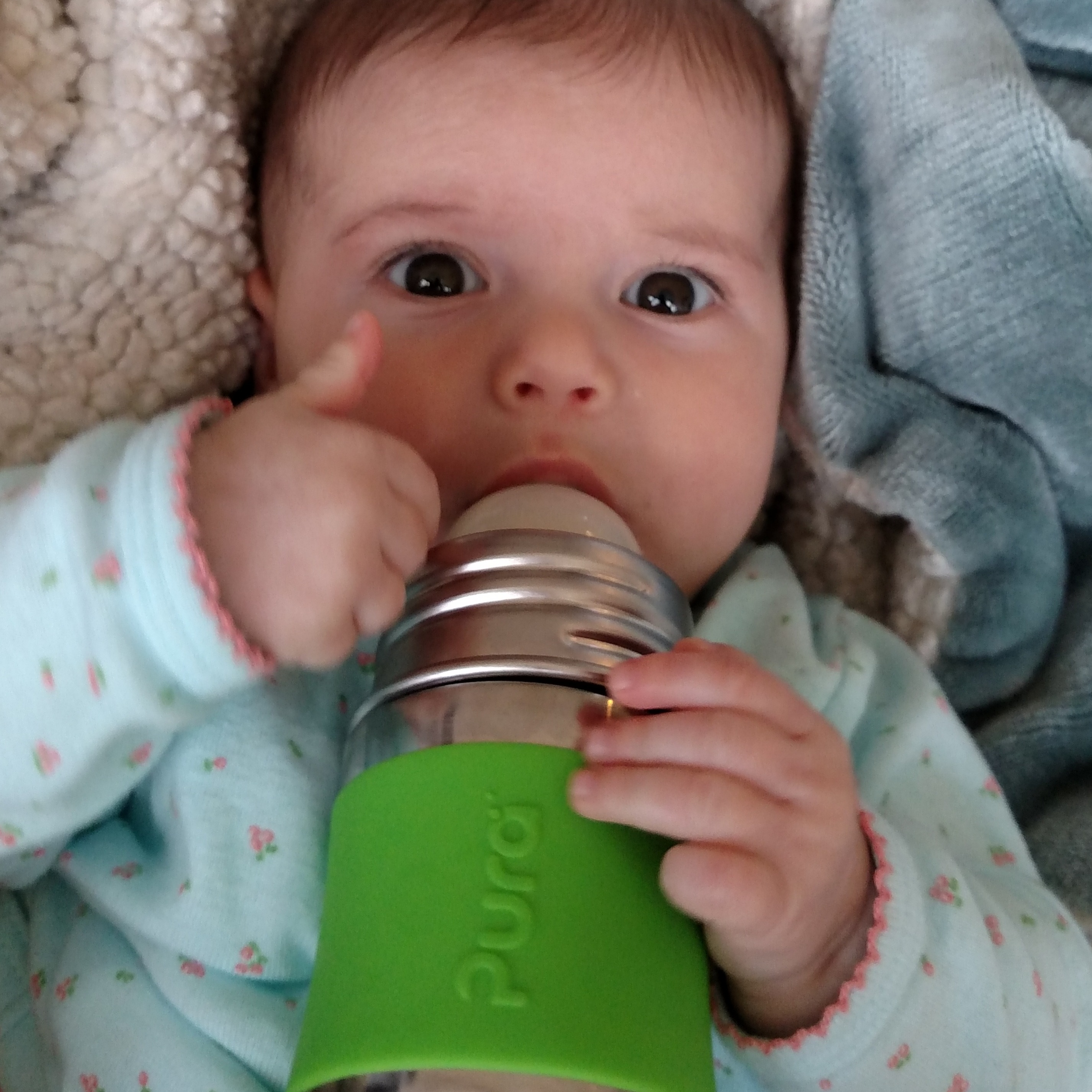 Pura Stainless Steel Baby Bottle - Moss, 5oz.