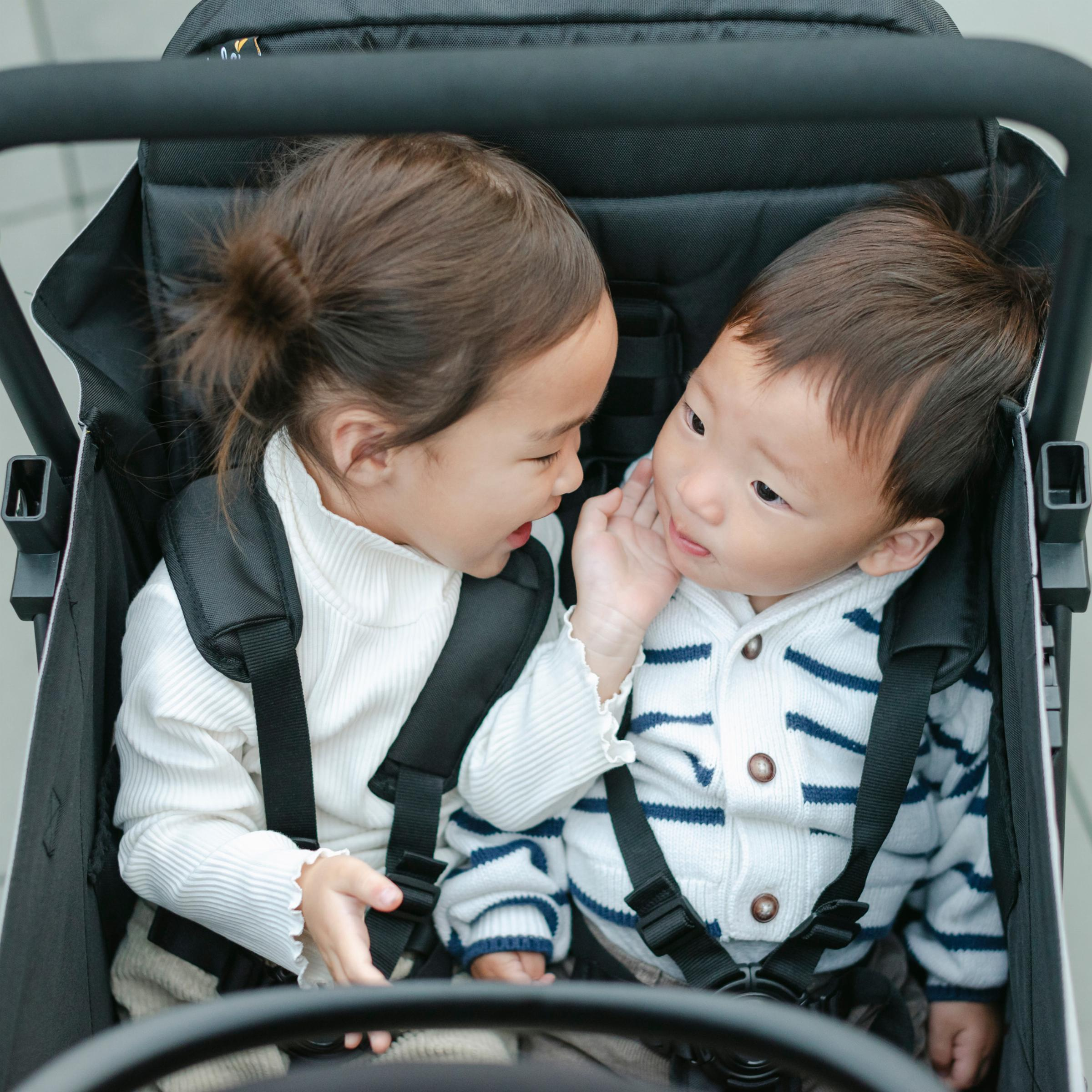 Larktale Double Seat Kit - Caravan.