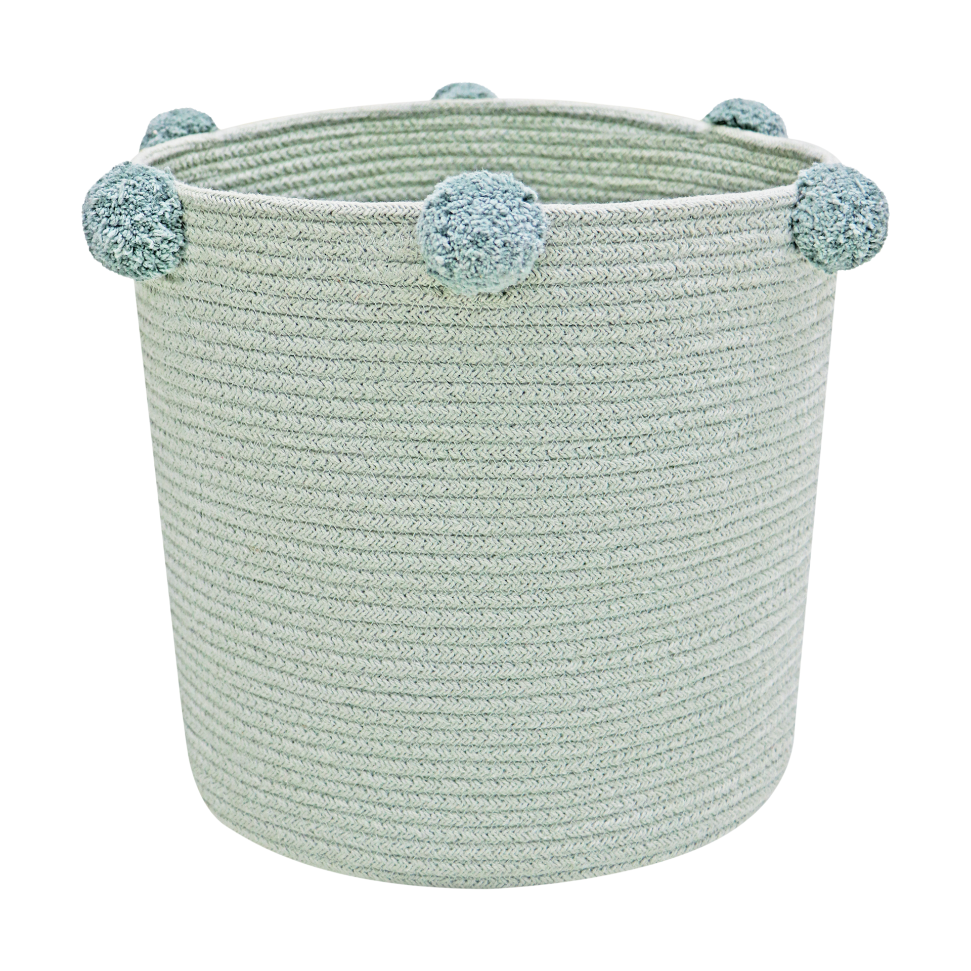 Thumbnail of Blue Sage