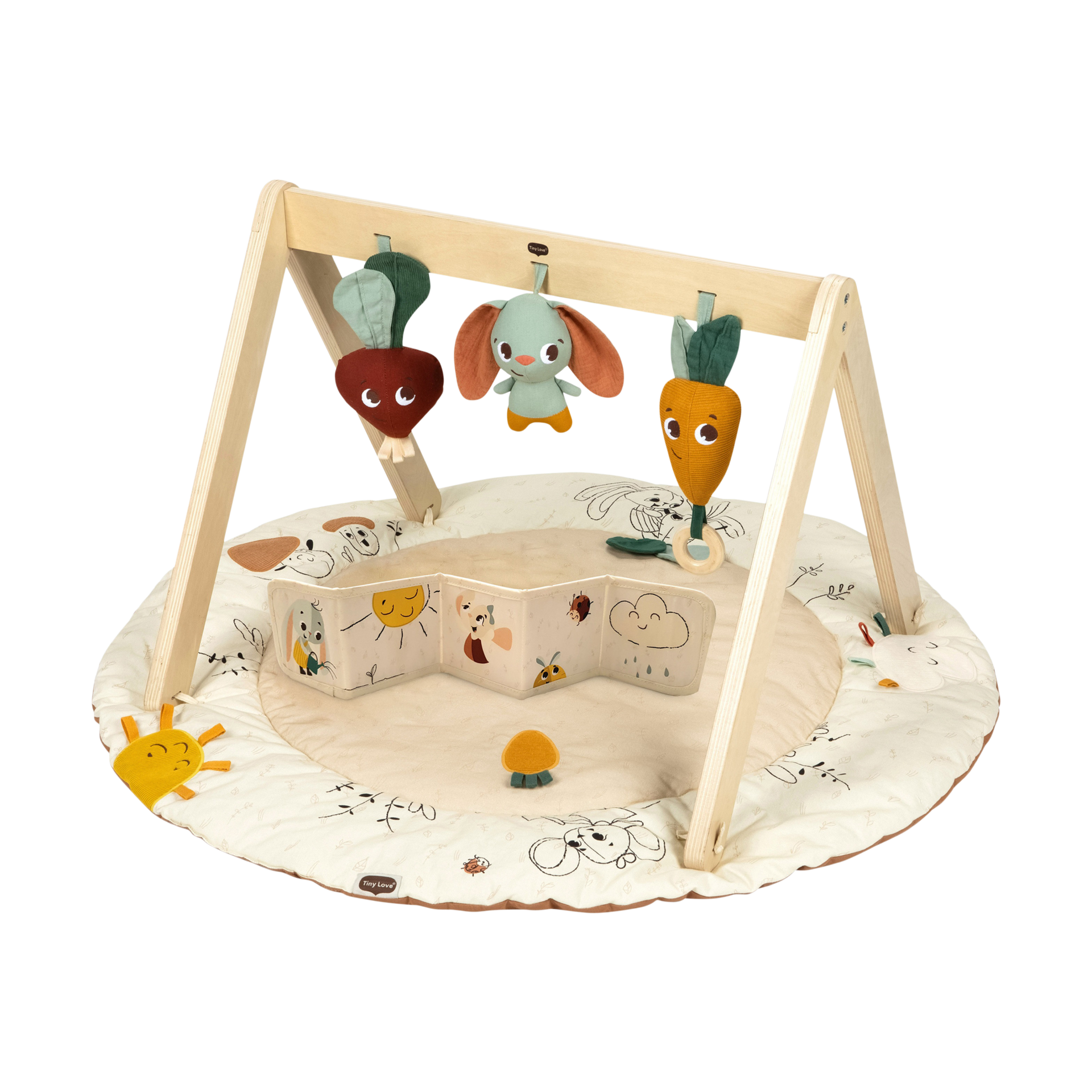 Tiny Love Wooden Gymini.