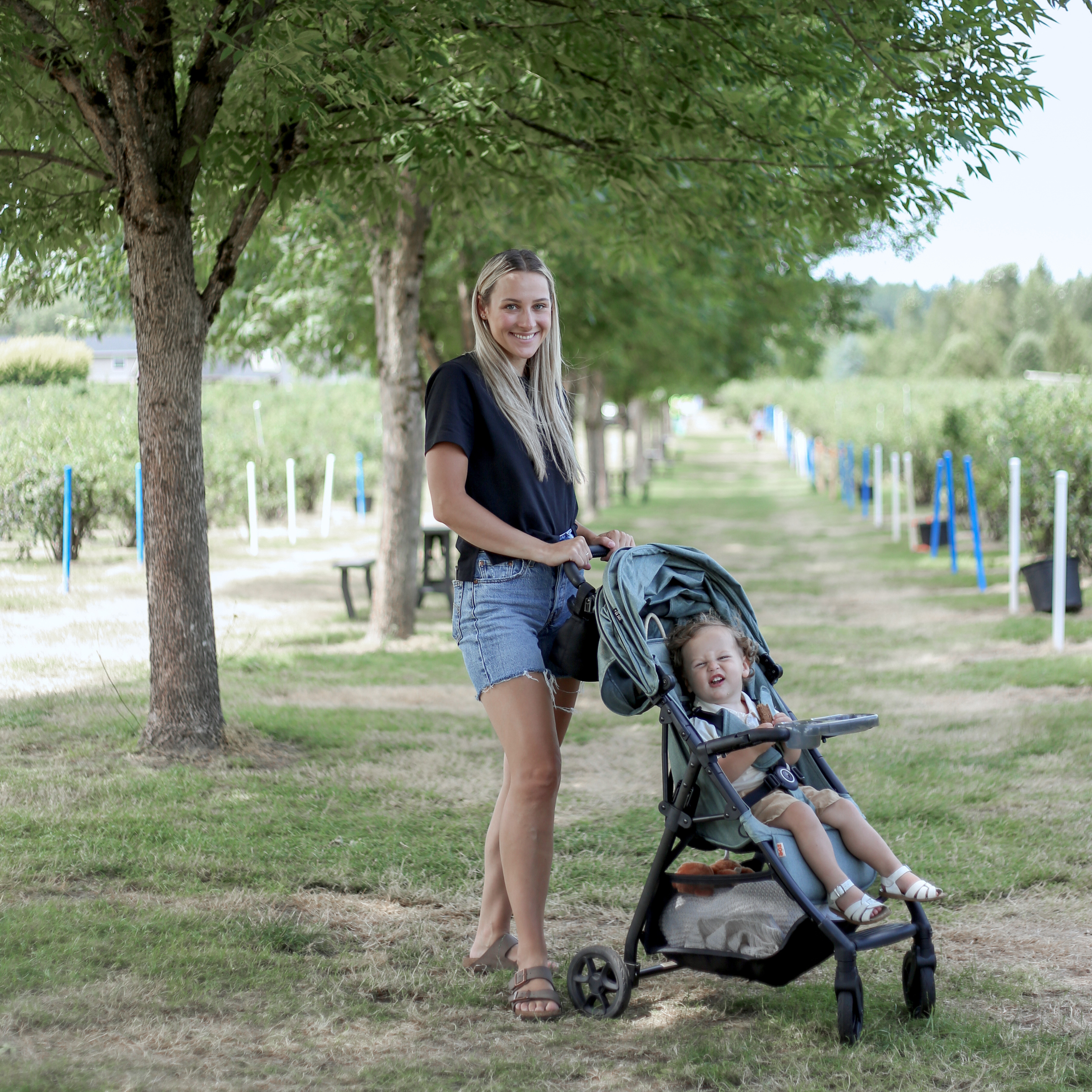 Zoe Tourᵛ² Single Stroller - Forest.