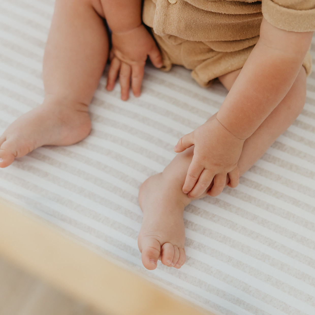 Copper Pearl Printed Premium Crib Sheet - Coastal.