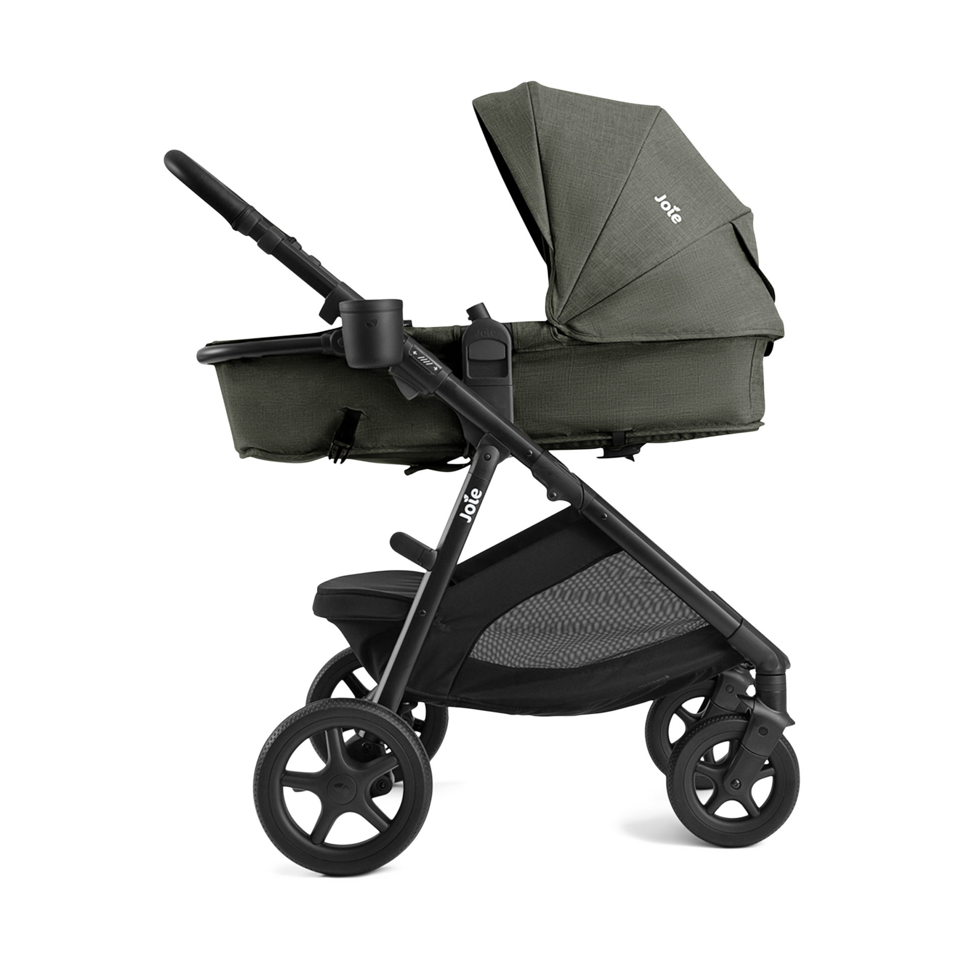 Joie Ginger - Evergreen.