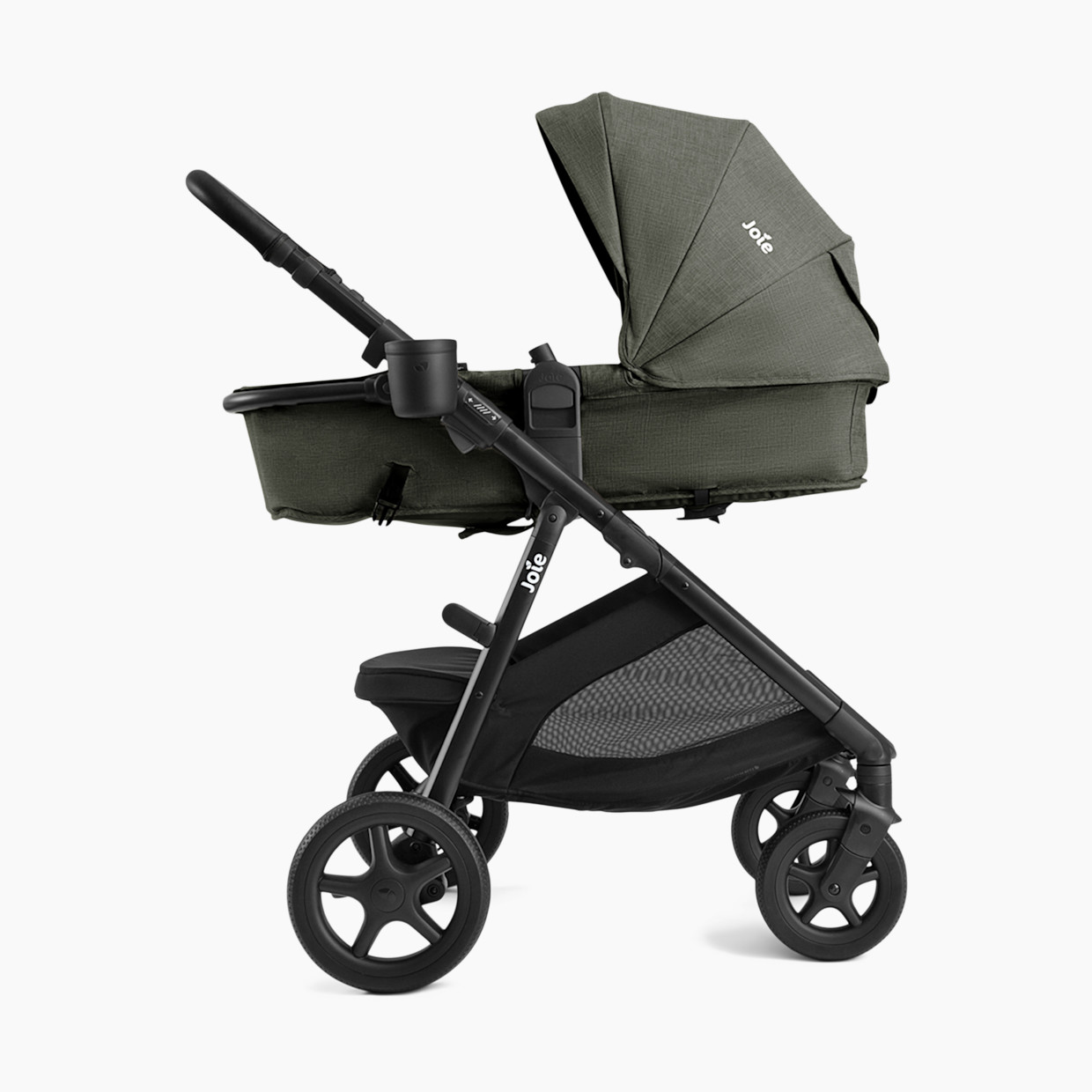 Joie Ginger - Evergreen.