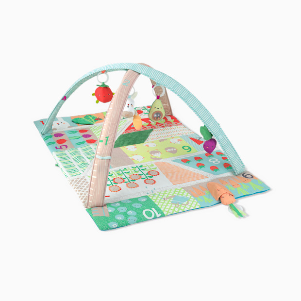 Skip Hop Farmstand Activity Gym.