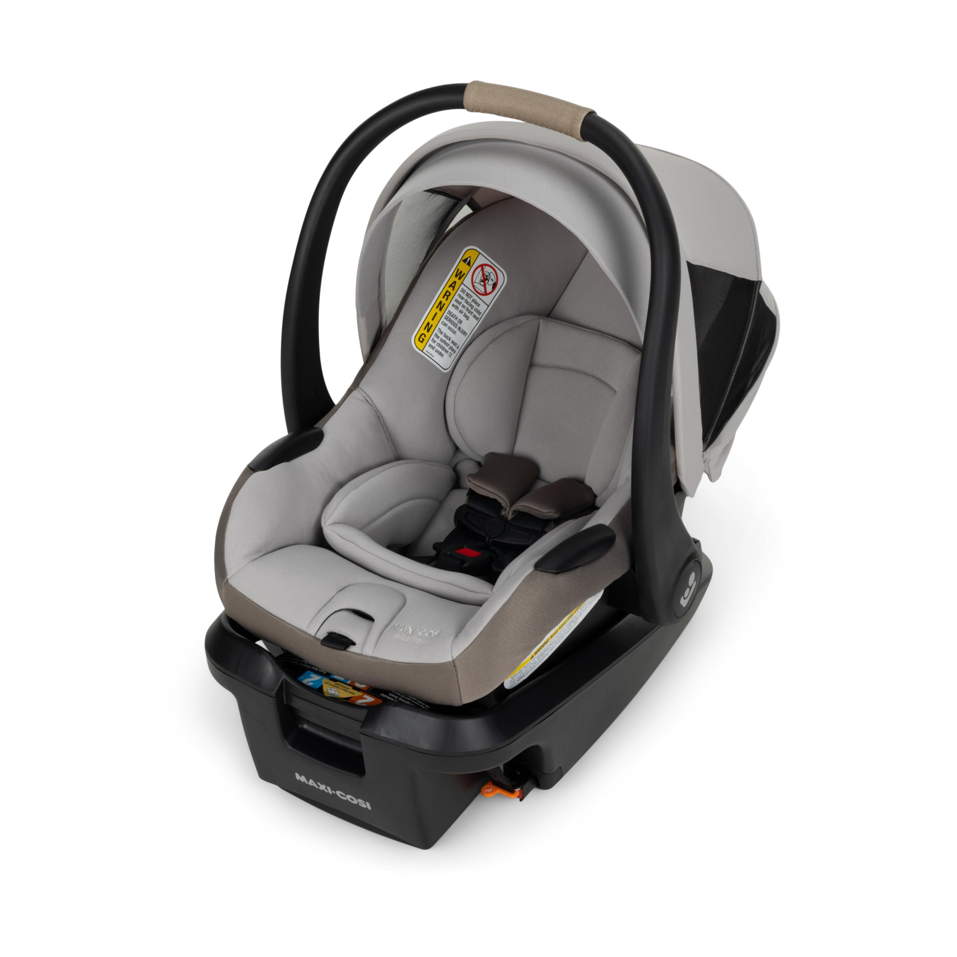 Thumbnail of Oyster Shell