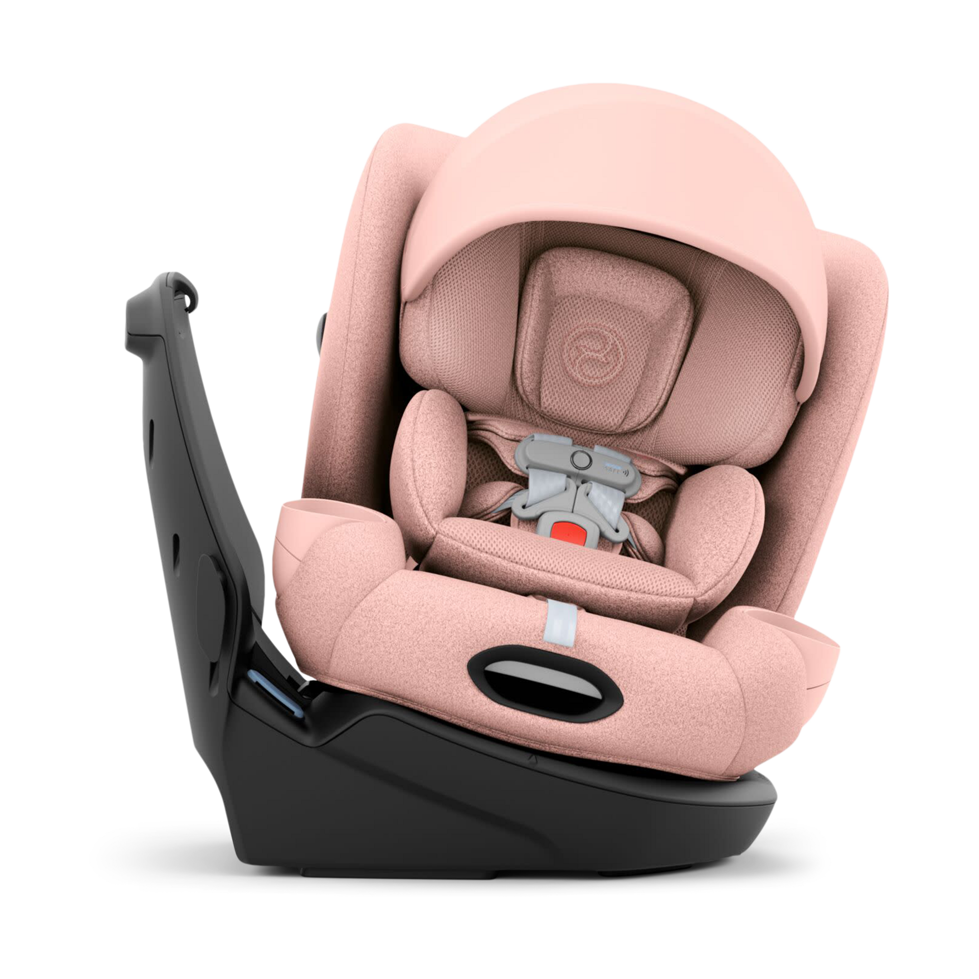 Thumbnail of Peach Pink