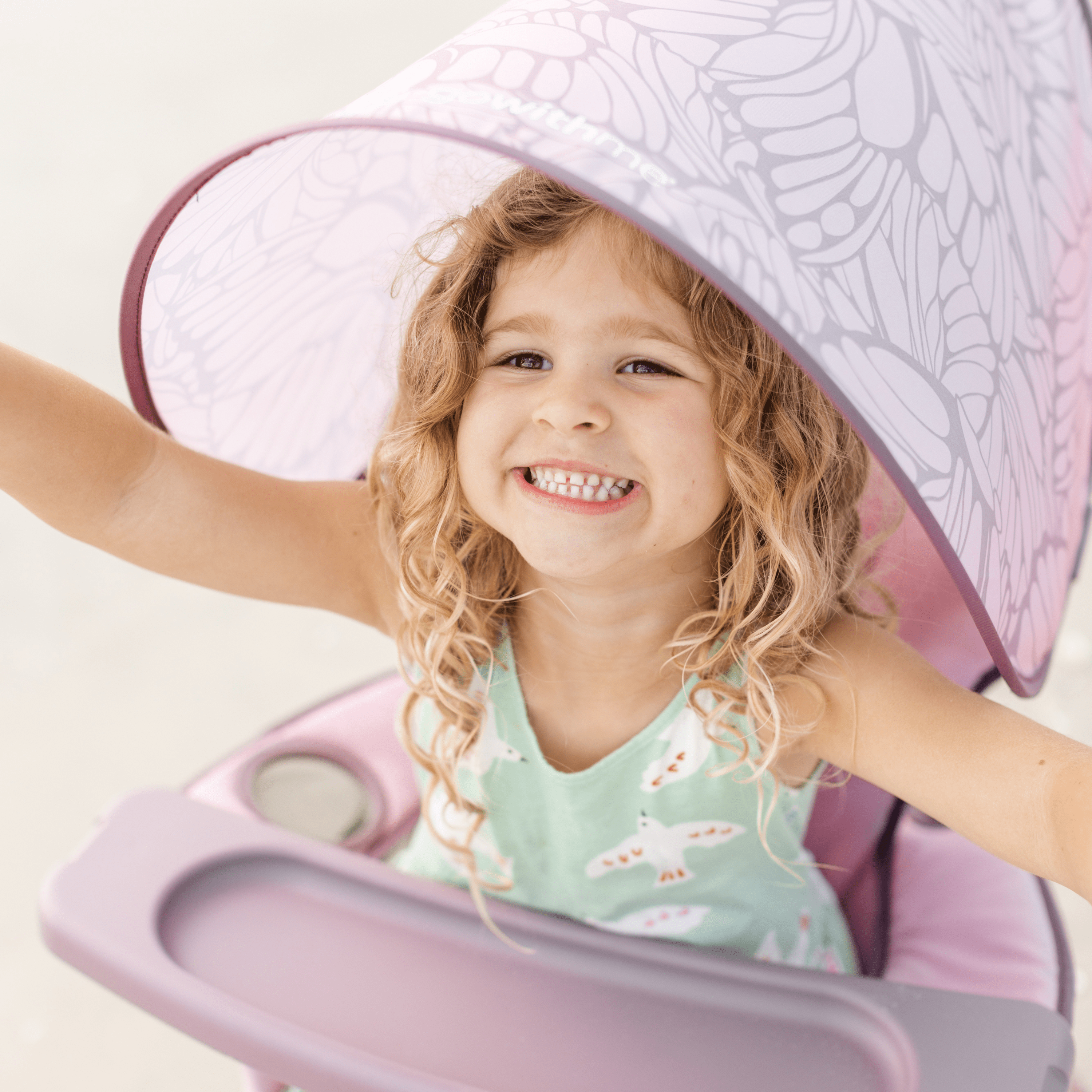 Baby Delight Go With Me Venture Deluxe Portable Chair - Canyon Rose.
