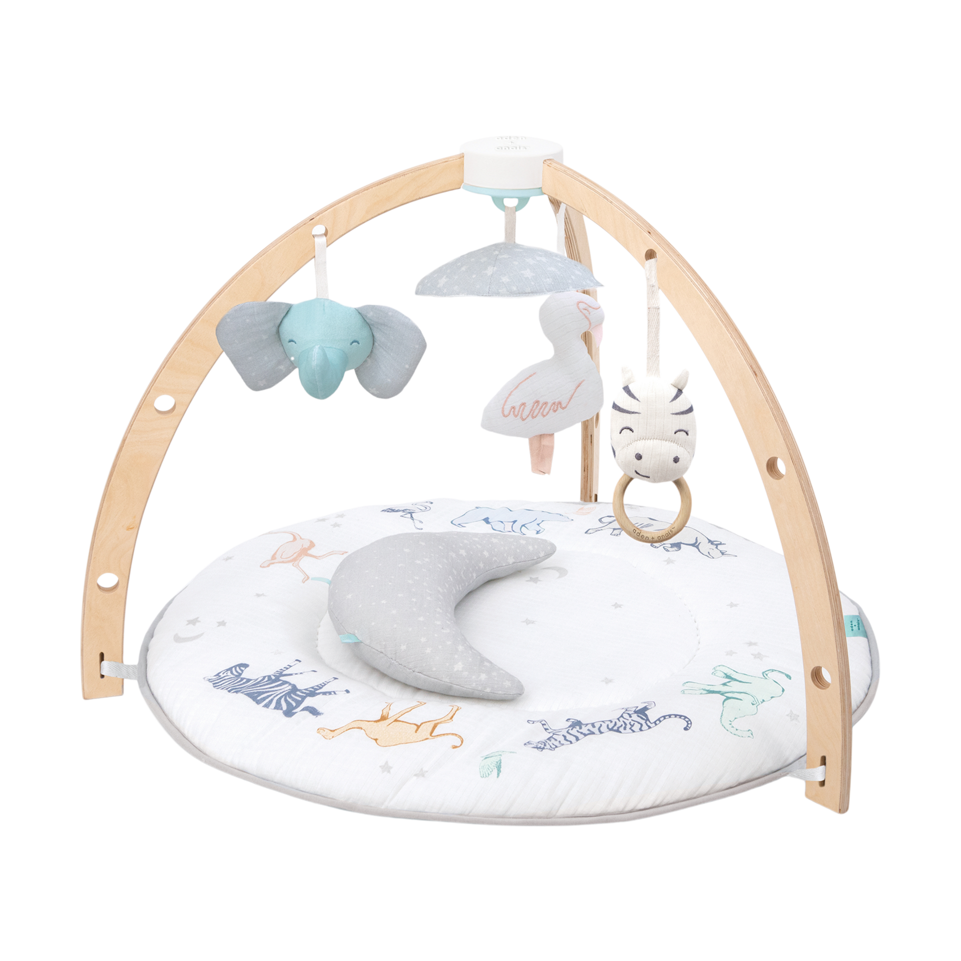 Aden + Anais Play + Discover Activity Gym.