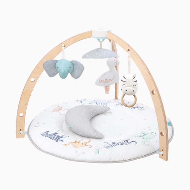 Aden + Anais Play + Discover Activity Gym.