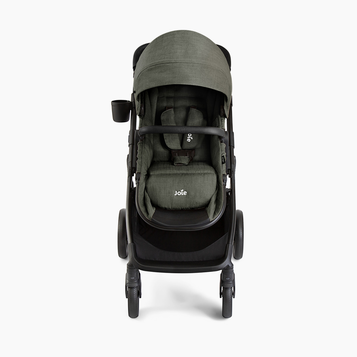 Joie Ginger And Rue - Evergreen.