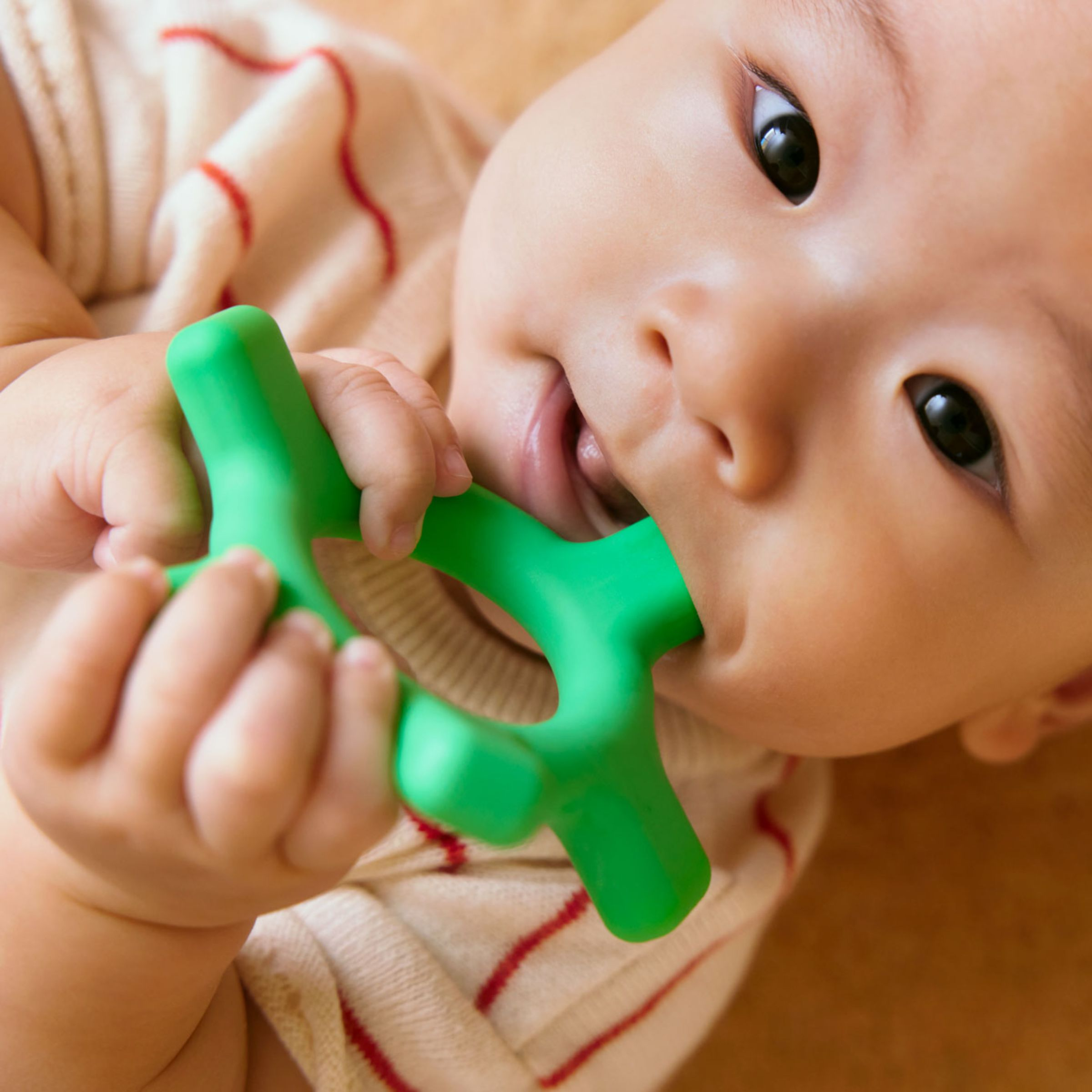 Lovevery Crawl to Me Mini Kit.