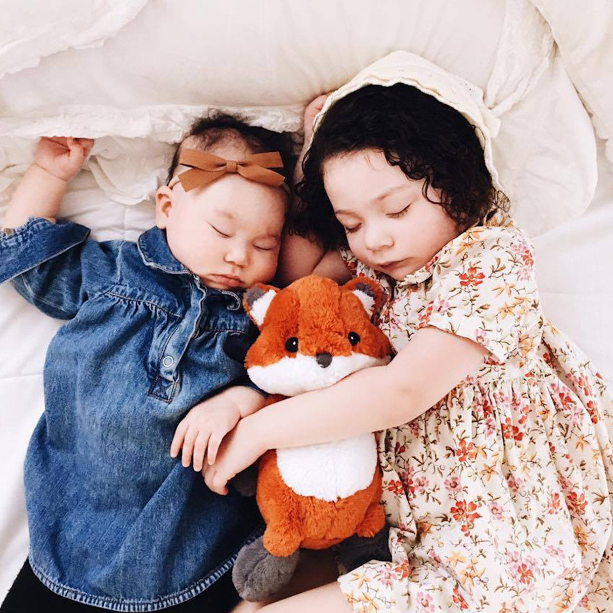 Cloud B Frankie the Fox.