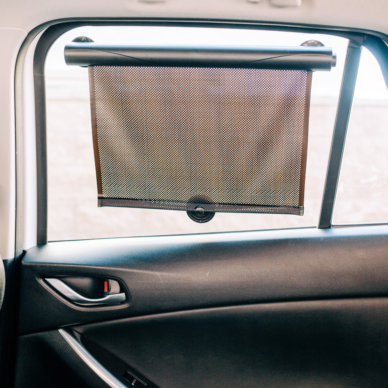 Sprucely Sun Shades (2-Pack).