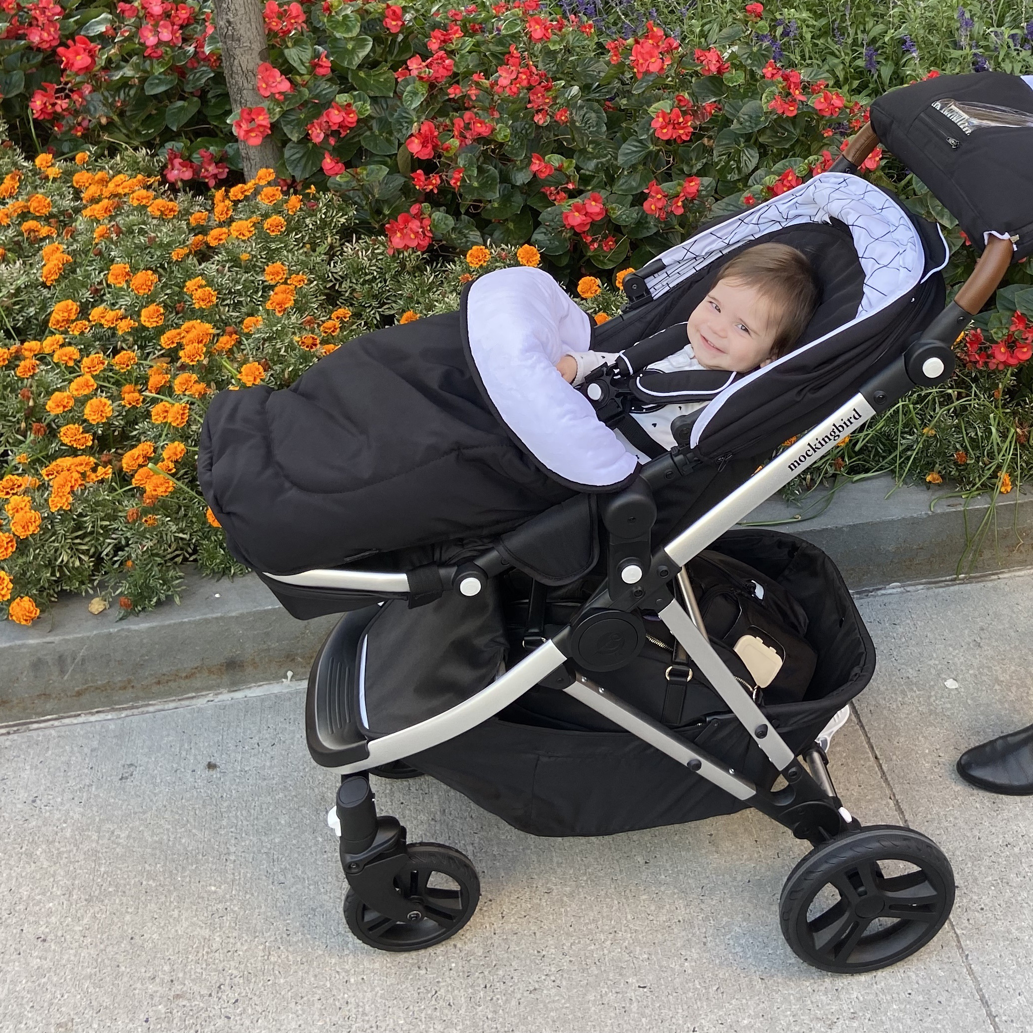 instep bike trailer double orange