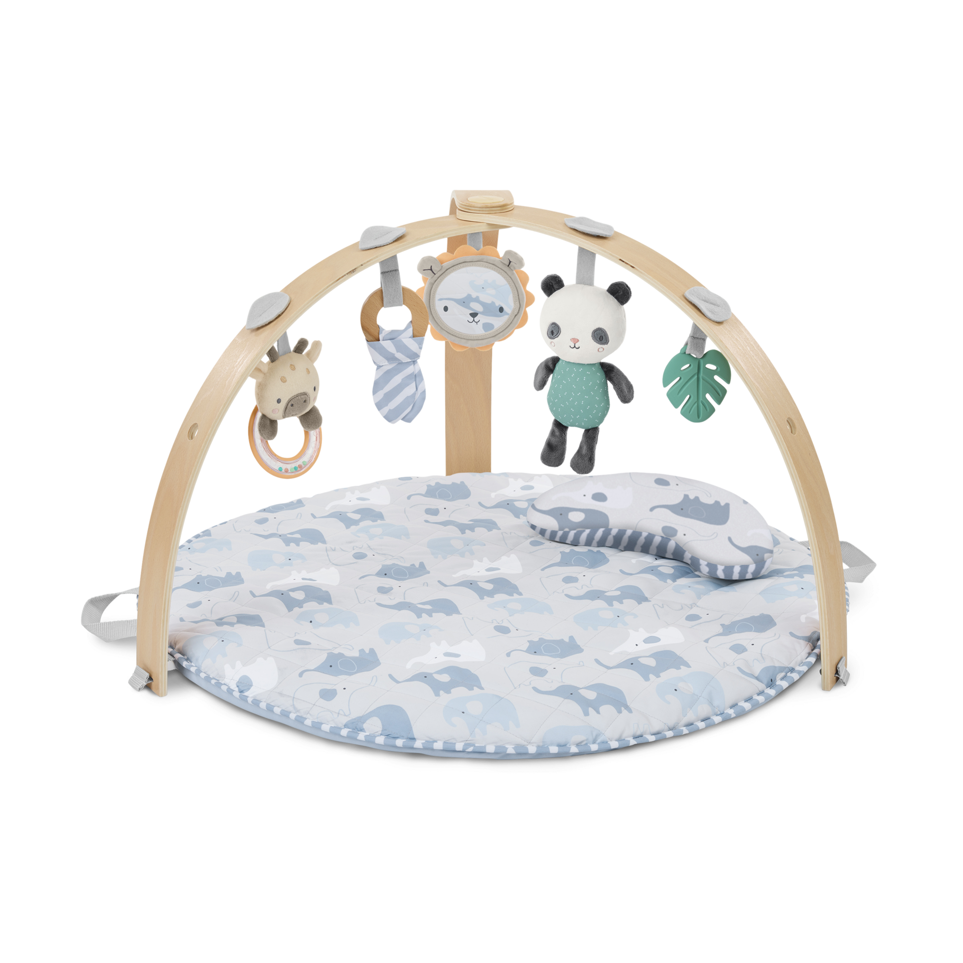 Thumbnail of Elephant March