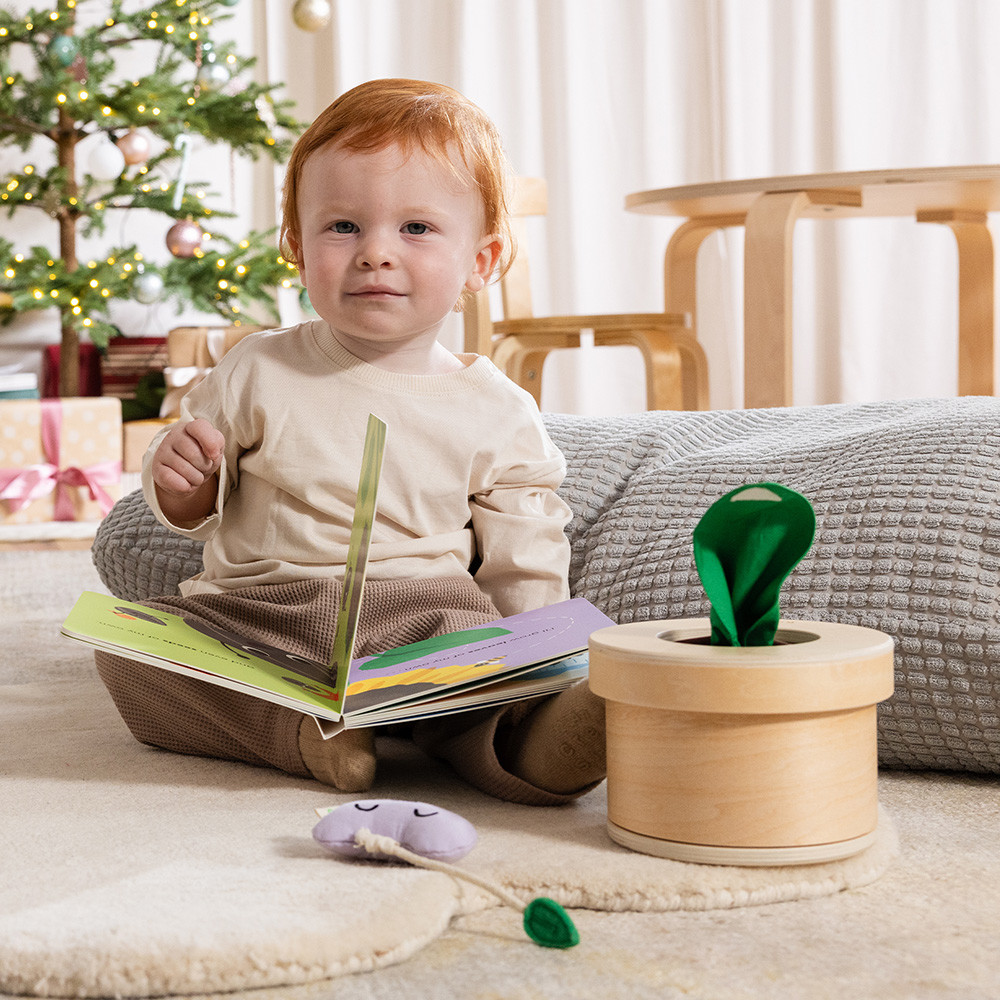 KiwiCo Growing Seeds Tissue Box Toy.