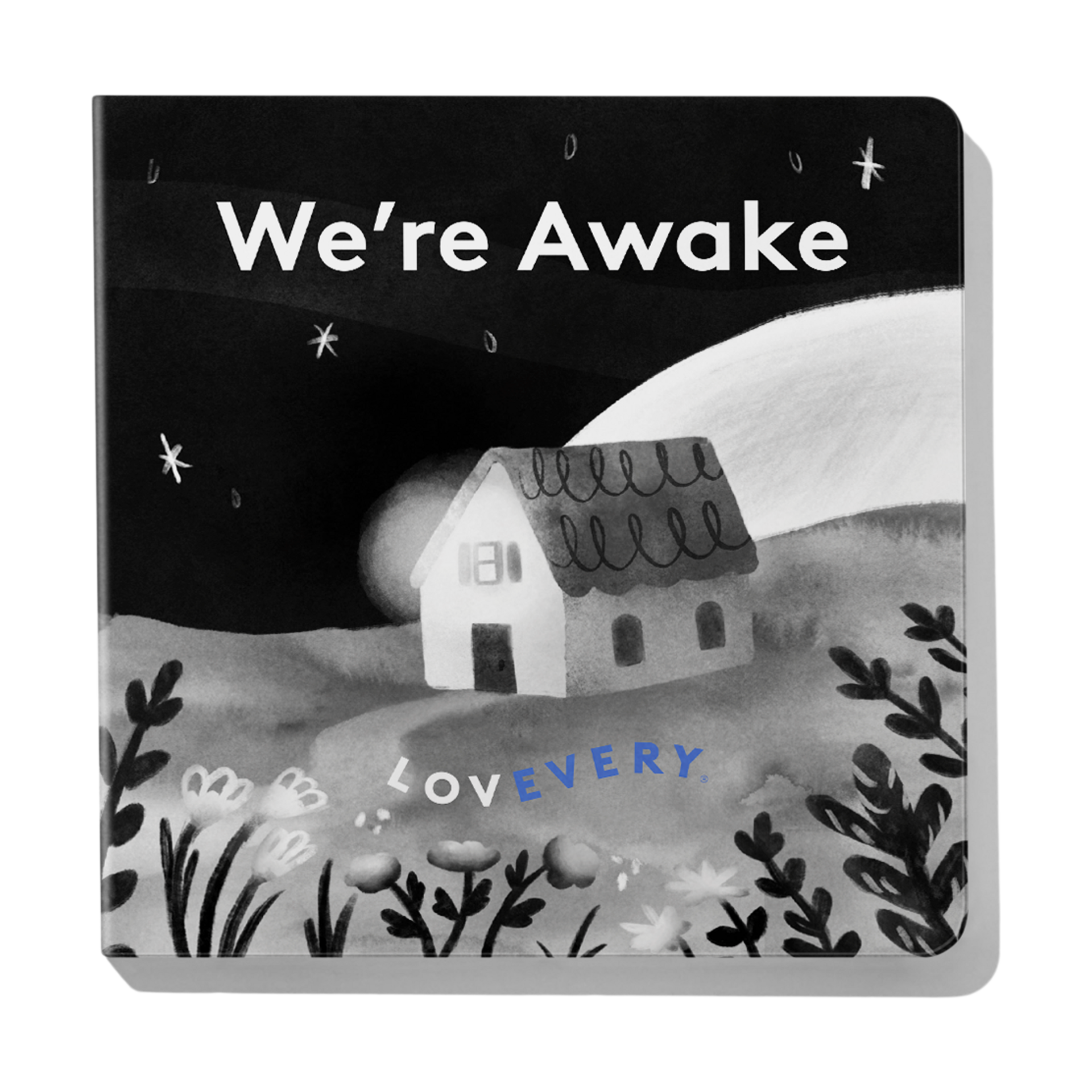 Lovevery Baby's First Book Set.