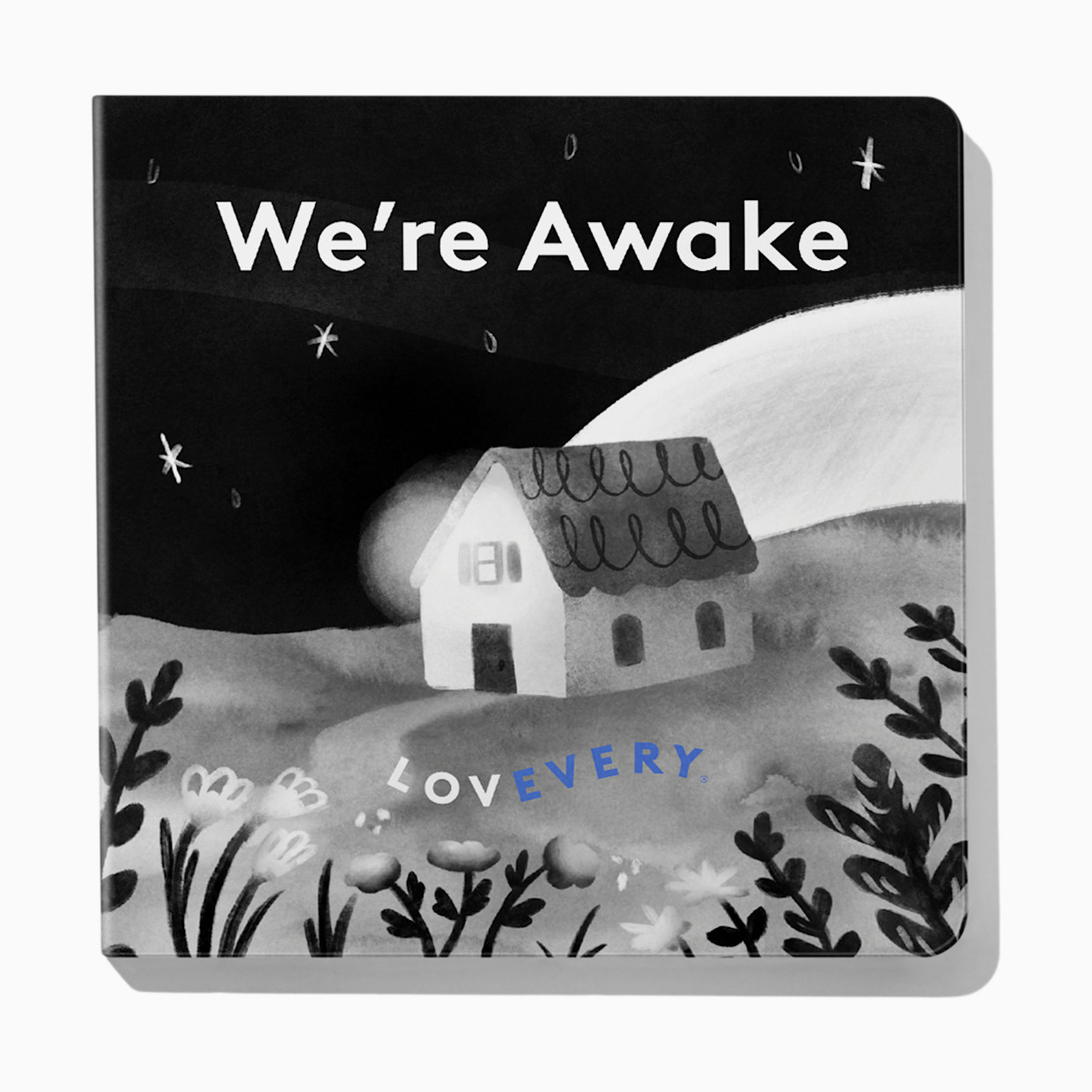 Lovevery Baby's First Book Set.