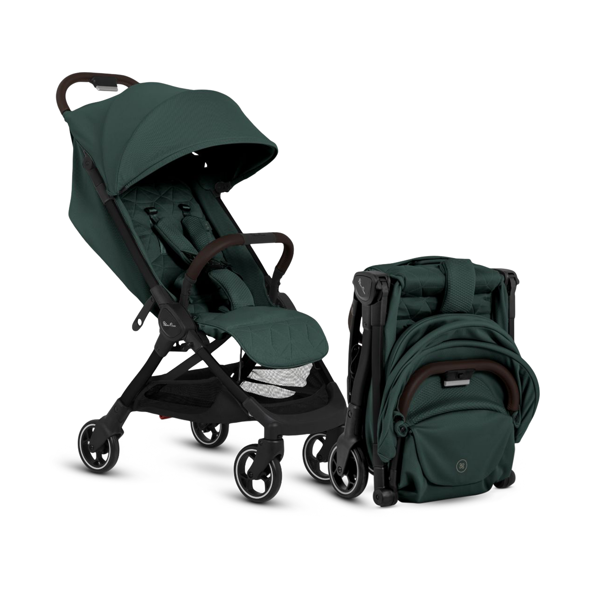 Thumbnail of Conifer