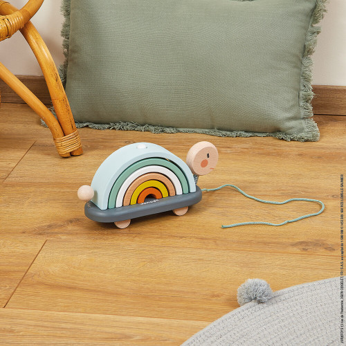 Janod Turtle Pull Along Stacker.