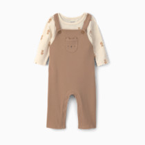 Thumbnail of Brown Bear