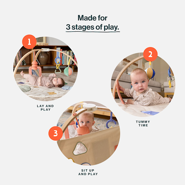 The Play Gym II.