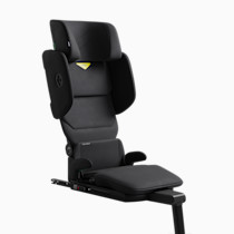 Thumbnail of Coastal Storm Black