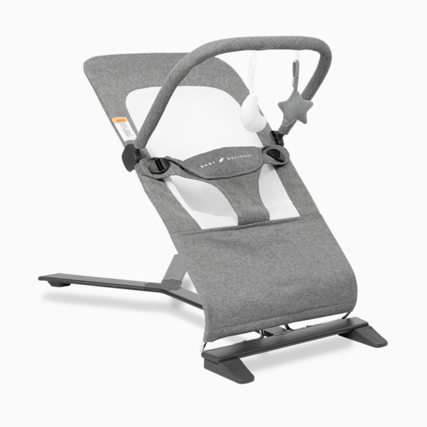Baby Delight Alpine Deluxe Portable Bouncer.