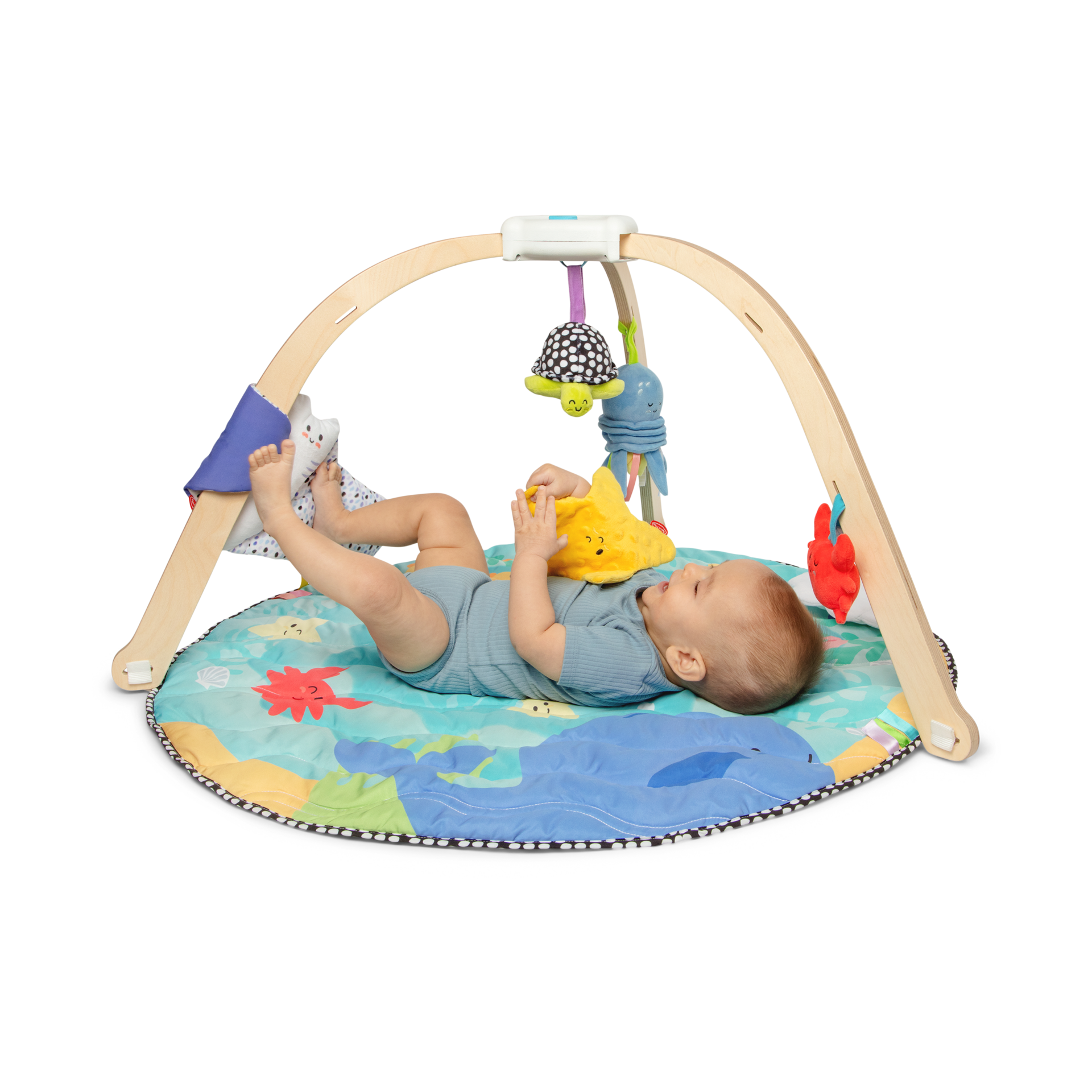 Melissa & Doug Ocean Easy-Fold Play Gym.