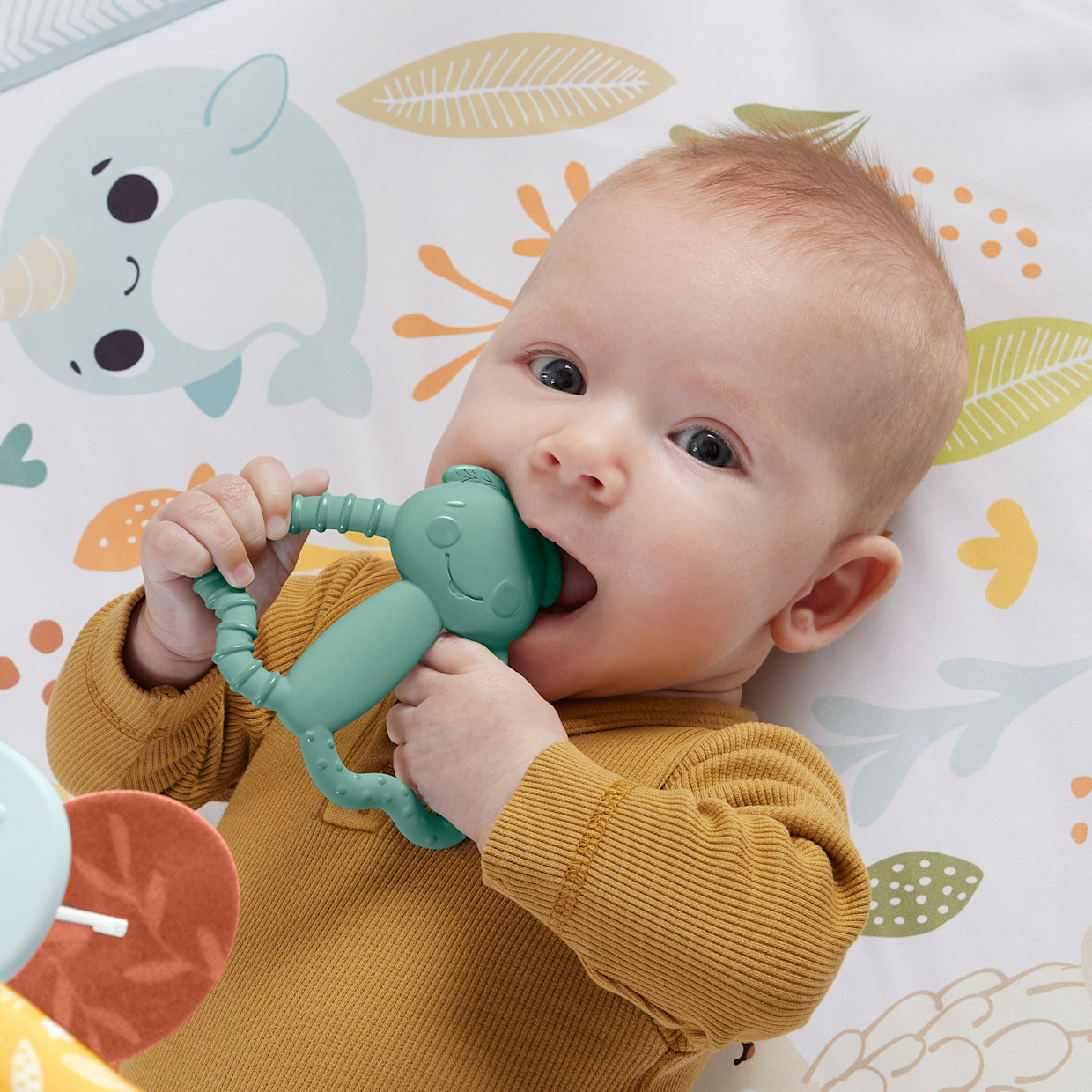 Fisher-Price Simply Senses Newborn Gym - Multi.