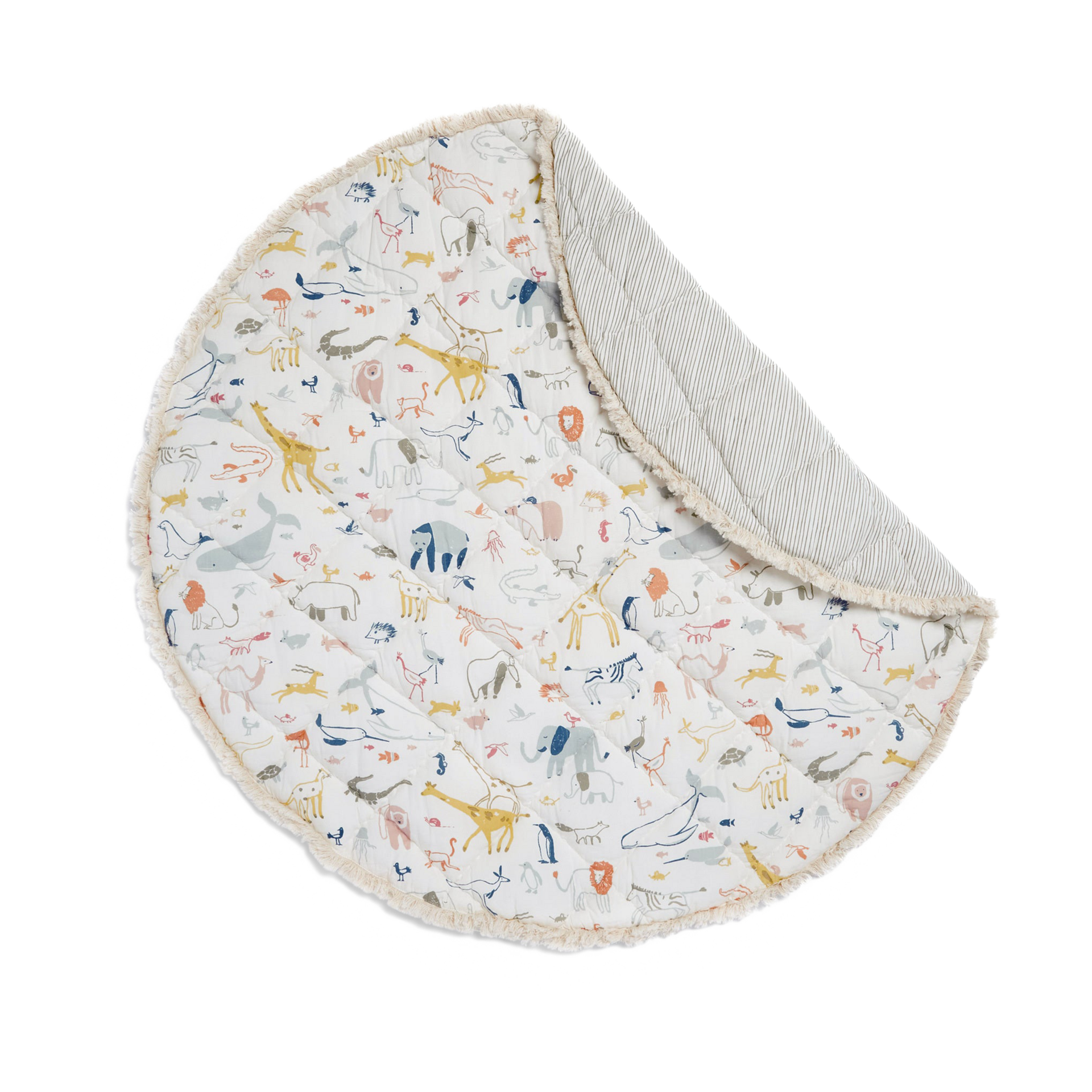 Thumbnail of Into The Wild