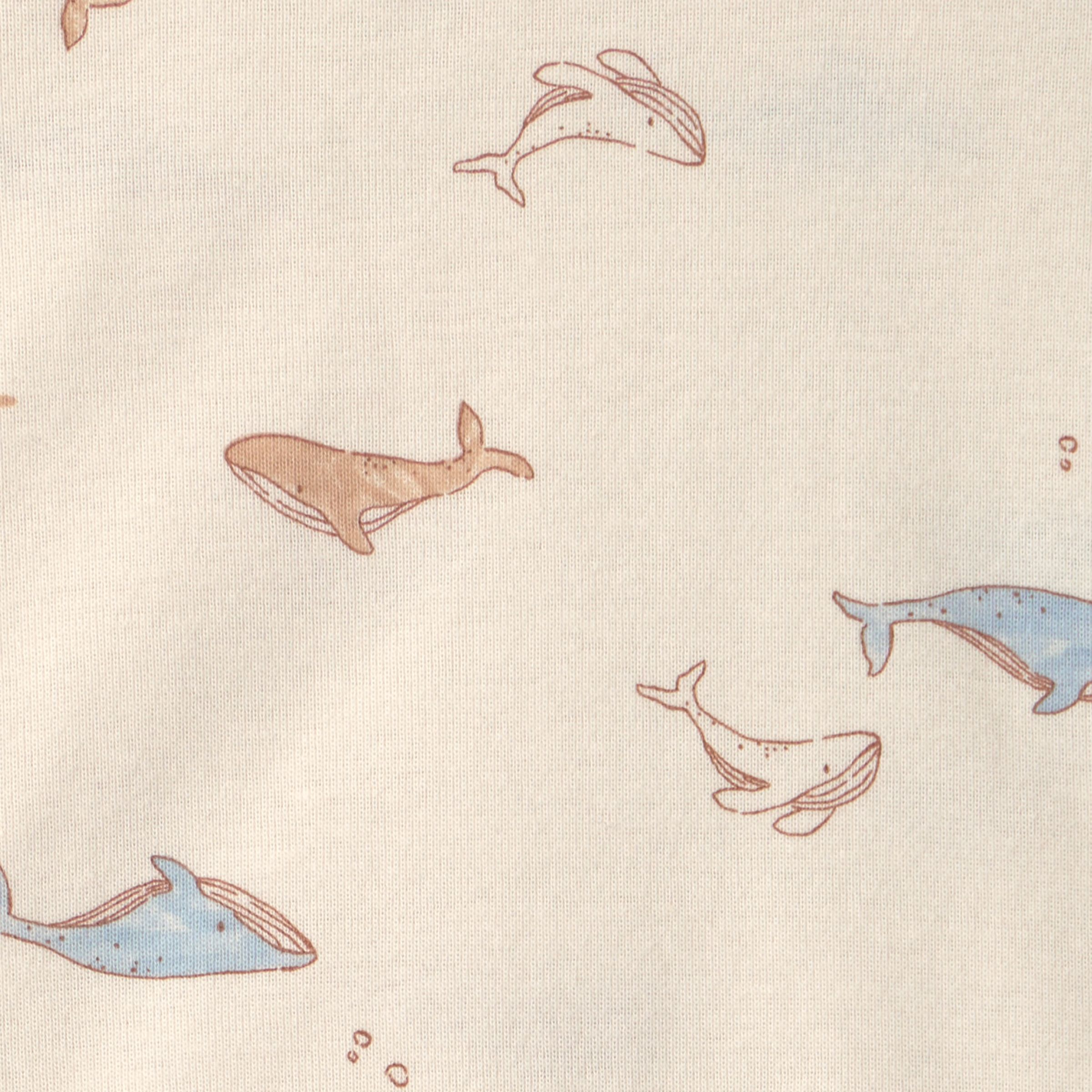 Carter's 3-Piece Bodysuit & Pant Gift Set - Blue Whale, 6M.