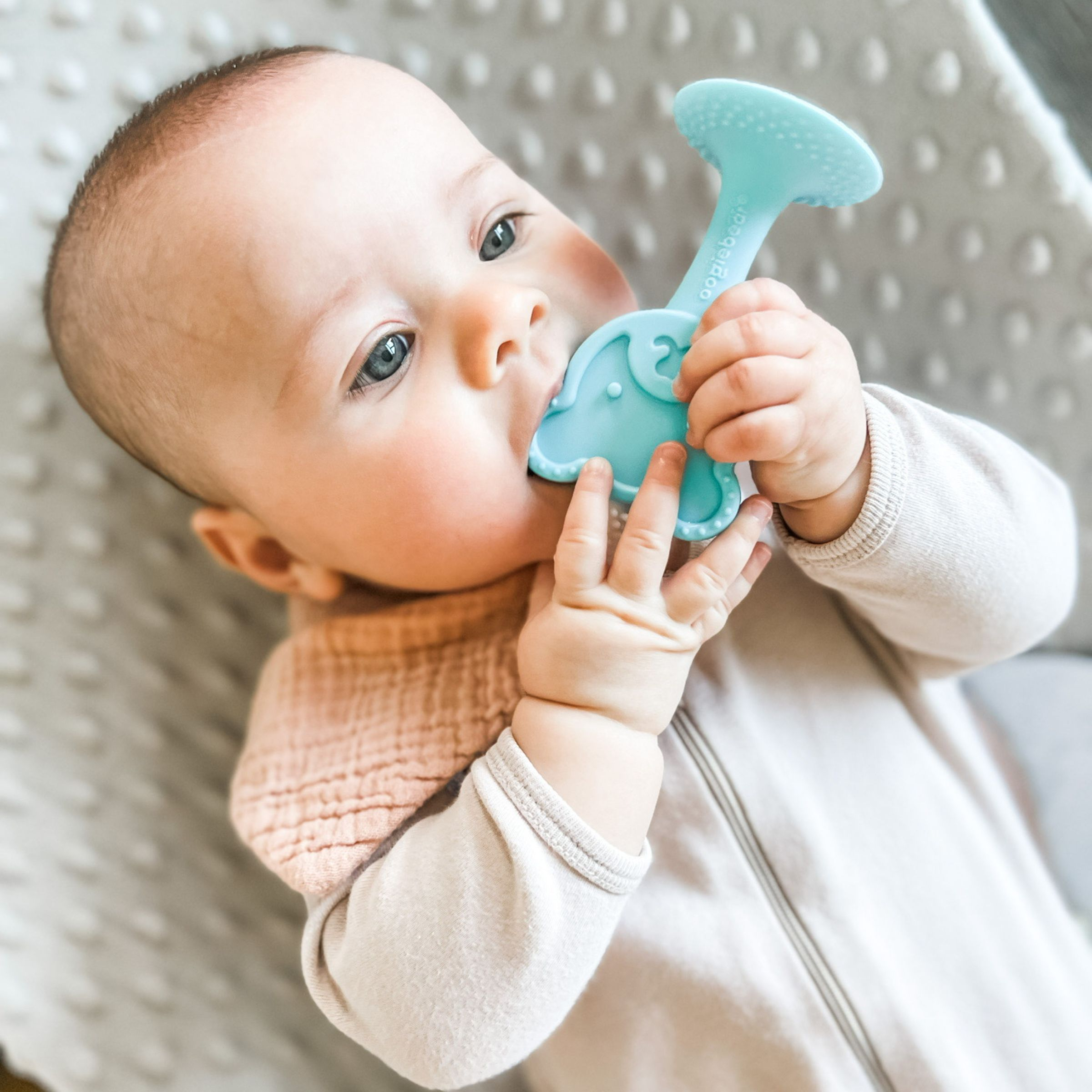 Oogiebear 360 Teething Toothbrush Babylist Shop